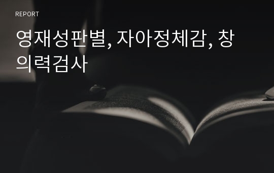 영재성판별, 자아정체감, 창의력검사