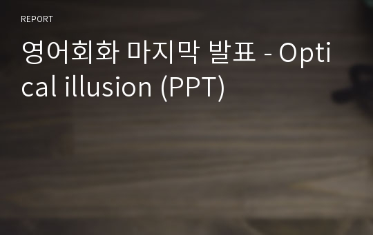 영어회화 마지막 발표 - Optical illusion (PPT)