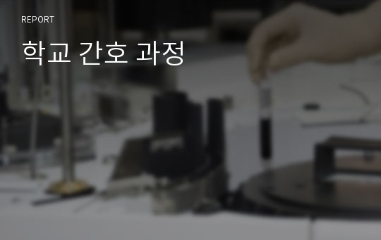 학교 간호 과정