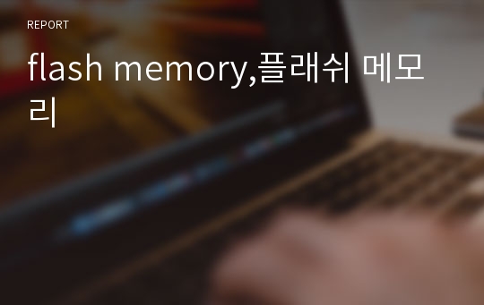 flash memory,플래쉬 메모리