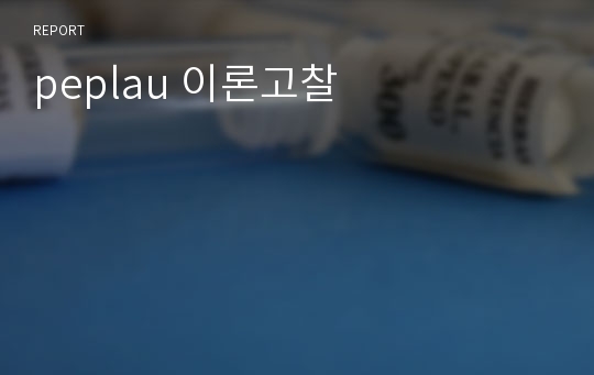 peplau 이론고찰