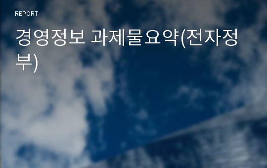 경영정보 과제물요약(전자정부)