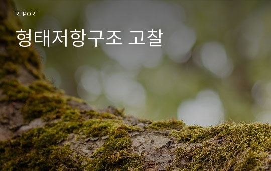 형태저항구조 고찰