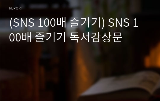 (SNS 100배 즐기기) SNS 100배 즐기기 독서감상문