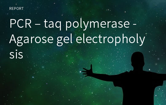 PCR – taq polymerase -Agarose gel electropholysis