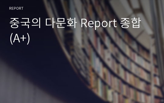 중국의 다문화 Report 종합 (A+)