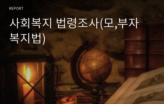 사회복지 법령조사(모,부자 복지법)