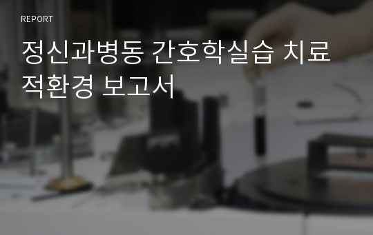 정신과병동 간호학실습 치료적환경 보고서