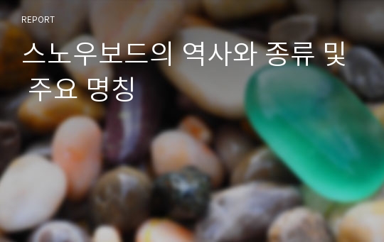 스노우보드의 역사와 종류 및 주요 명칭