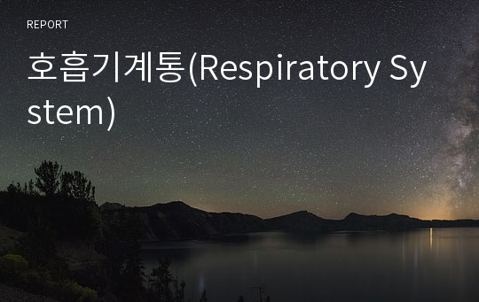 호흡기계통(Respiratory System)