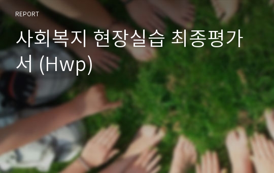 사회복지 현장실습 최종평가서 (Hwp)