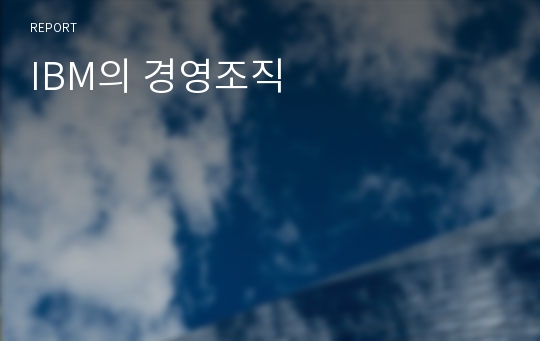 IBM의 경영조직