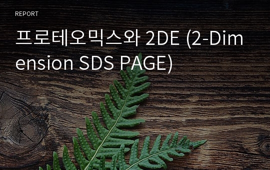 프로테오믹스와 2DE (2-Dimension SDS PAGE)