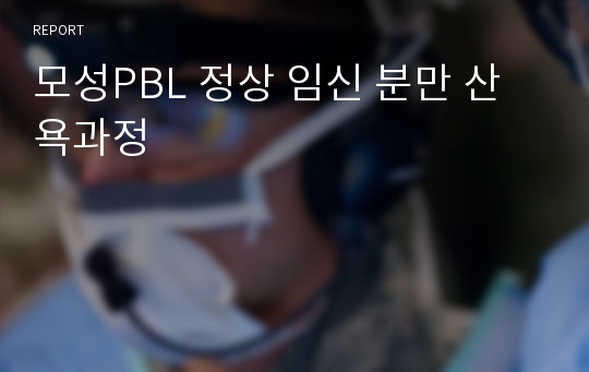 모성PBL 정상 임신 분만 산욕과정