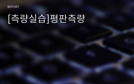 [측량실습]평판측량