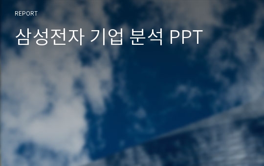 삼성전자 기업 분석 PPT