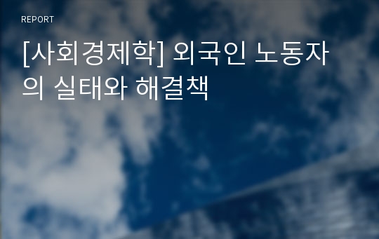 [사회경제학] 외국인 노동자의 실태와 해결책