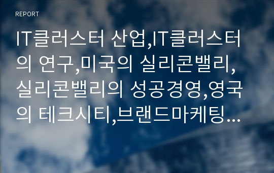 IT클러스터 산업,IT클러스터의 연구,미국의 실리콘밸리,실리콘밸리의 성공경영,영국의 테크시티,브랜드마케팅,서비스마케팅,글로벌경영,사례분석,swot,stp,4p