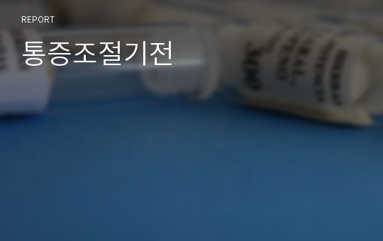 통증조절기전