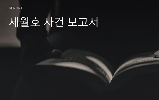 세월호 사건 보고서