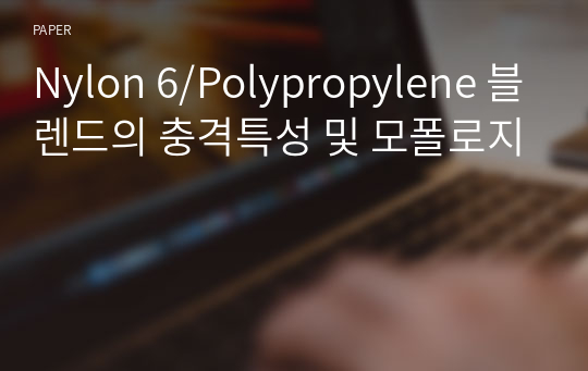 Nylon 6/Polypropylene 블렌드의 충격특성 및 모폴로지