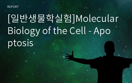 [일반생물학실험]Molecular Biology of the Cell - Apoptosis