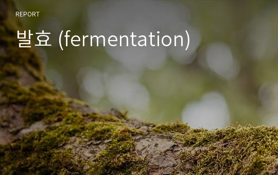 발효 (fermentation)
