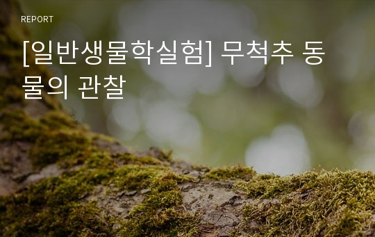 [일반생물학실험] 무척추 동물의 관찰