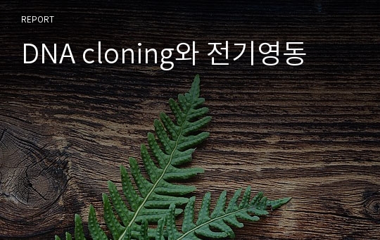 DNA cloning와 전기영동