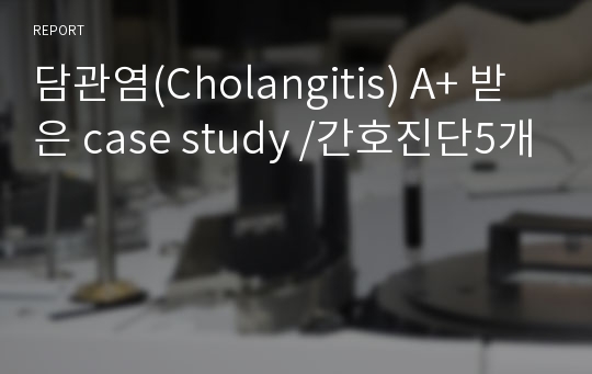 담관염(Cholangitis) A+ 받은 case study /간호진단5개