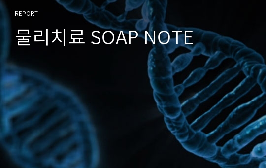 물리치료 SOAP NOTE