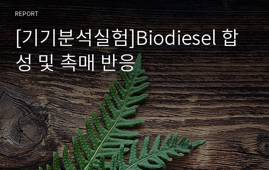 [기기분석실험]Biodiesel 합성 및 촉매 반응