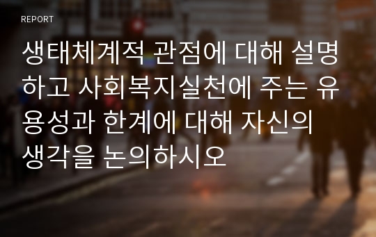 생태체계적 관점에 대해 설명하고 사회복지실천에 주는 유용성과 한계에 대해 자신의 생각을 논의하시오