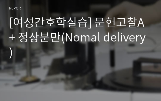 [여성간호학실습] 문헌고찰A+ 정상분만(Nomal delivery)