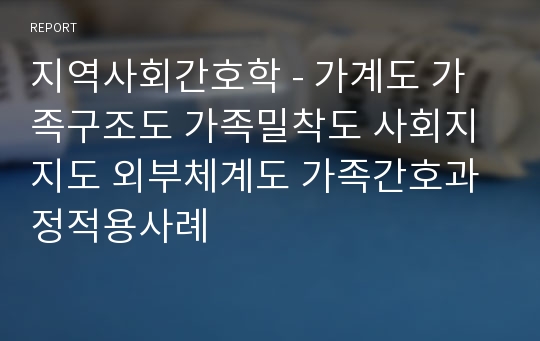 지역사회간호학 - 가계도 가족구조도 가족밀착도 사회지지도 외부체계도 가족간호과정적용사례