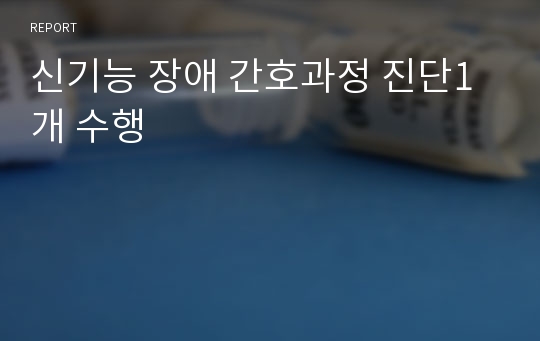 신기능 장애 간호과정 진단1개 수행