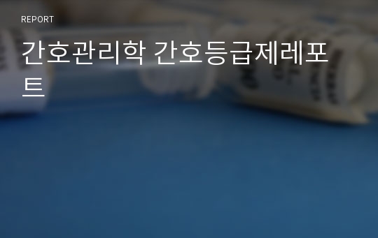 간호관리학 간호등급제레포트