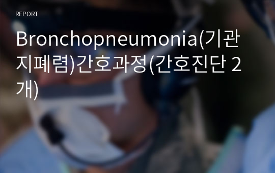 Bronchopneumonia(기관지폐렴)간호과정(간호진단 2개)