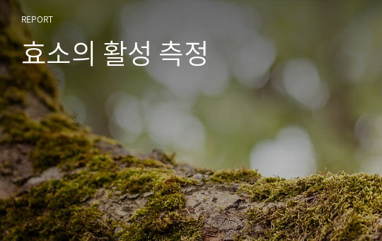 효소의 활성 측정