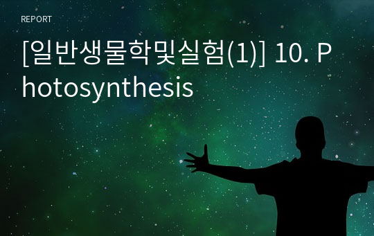 [일반생물학및실험(1)] 10. Photosynthesis