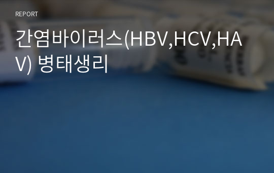 간염바이러스(HBV,HCV,HAV) 병태생리