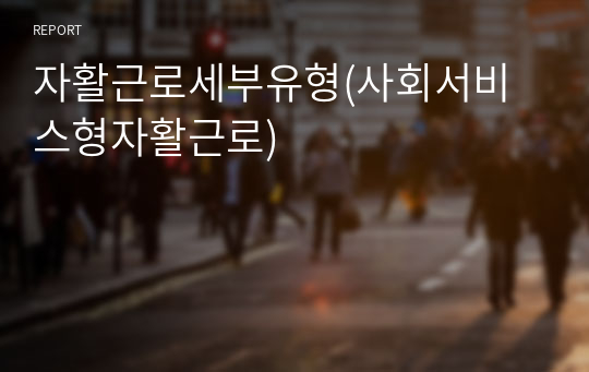 자활근로세부유형(사회서비스형자활근로)