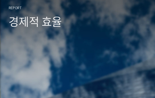 경제적 효율