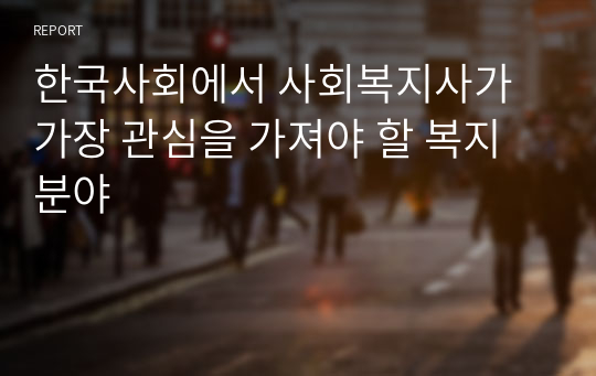 한국사회에서 사회복지사가 가장 관심을 가져야 할 복지분야