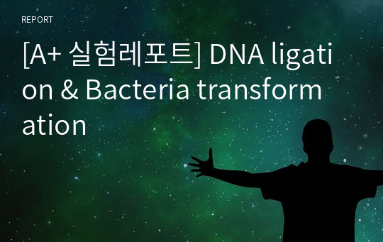 [A+ 실험레포트] DNA ligation &amp; Bacteria transformation