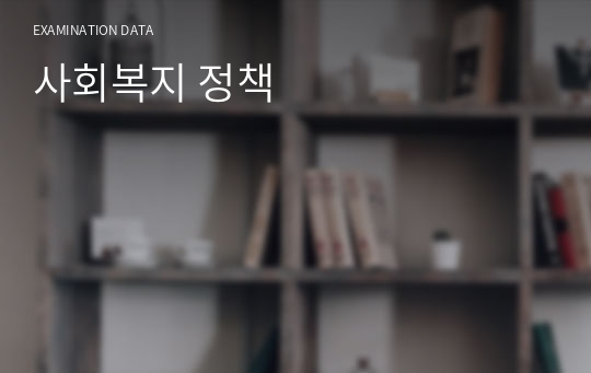 사회복지 정책