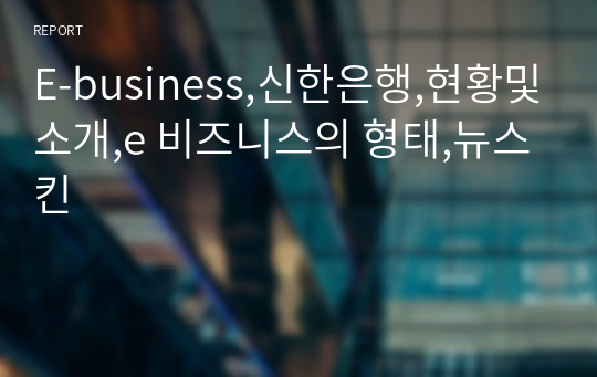 E-business,신한은행,현황및소개,e 비즈니스의 형태,뉴스킨