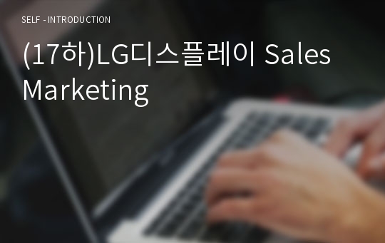 (17하)LG디스플레이 Sales Marketing