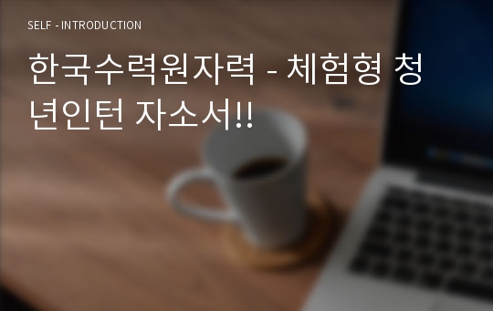 한국수력원자력 - 체험형 청년인턴 자소서!!