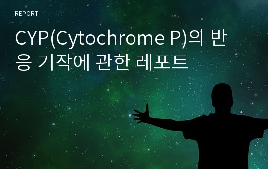 CYP(Cytochrome P)의 반응 기작에 관한 레포트